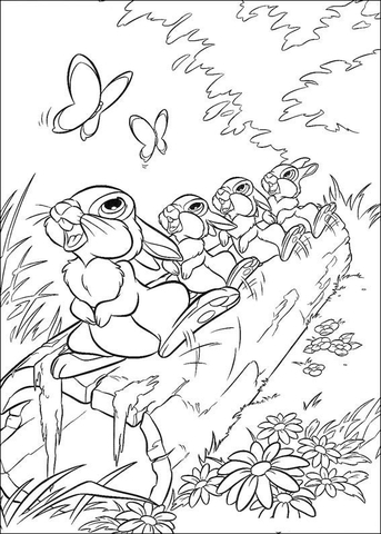 The Rabbit And Butterfly  Coloring Page